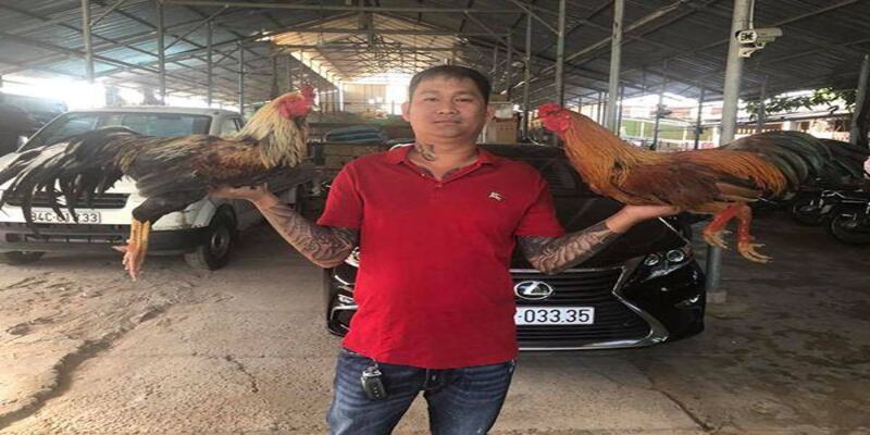 Thông tin về Mít Trà Cú và gà Quát Kiệt