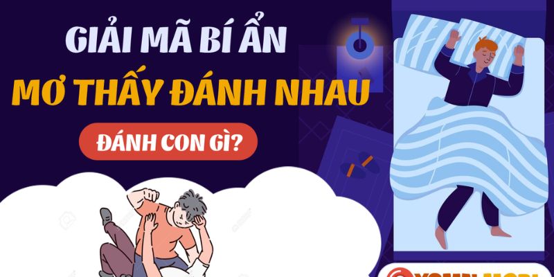 Giải nghĩa giấc mơ thấy đánh lộn