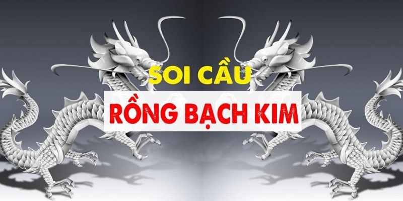 Những lưu ý khi soi cầu rồng bạch kim miễn phí